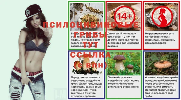 МДПВ Белокуриха