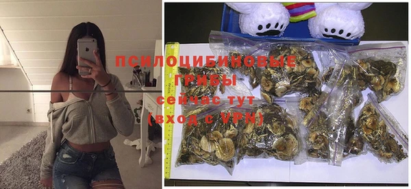 МДПВ Белокуриха
