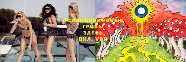 МДПВ Белокуриха