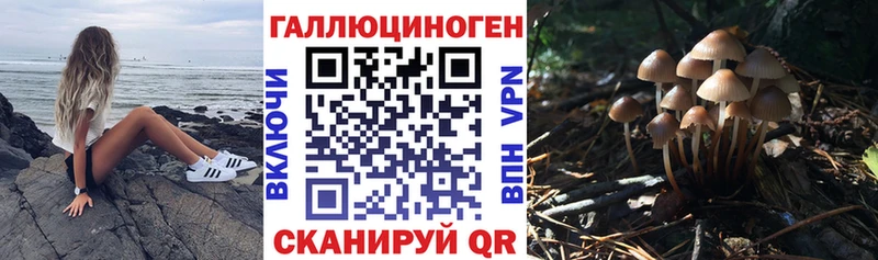 hydra вход  Салаир  Псилоцибиновые грибы прущие грибы 